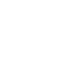 baic